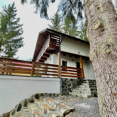 Hill House Sd Toplita (Harghita)